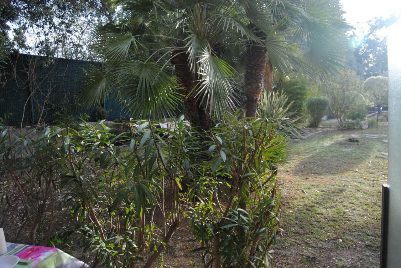ניס Les Palmiers A 700M De La Mer מראה חיצוני תמונה