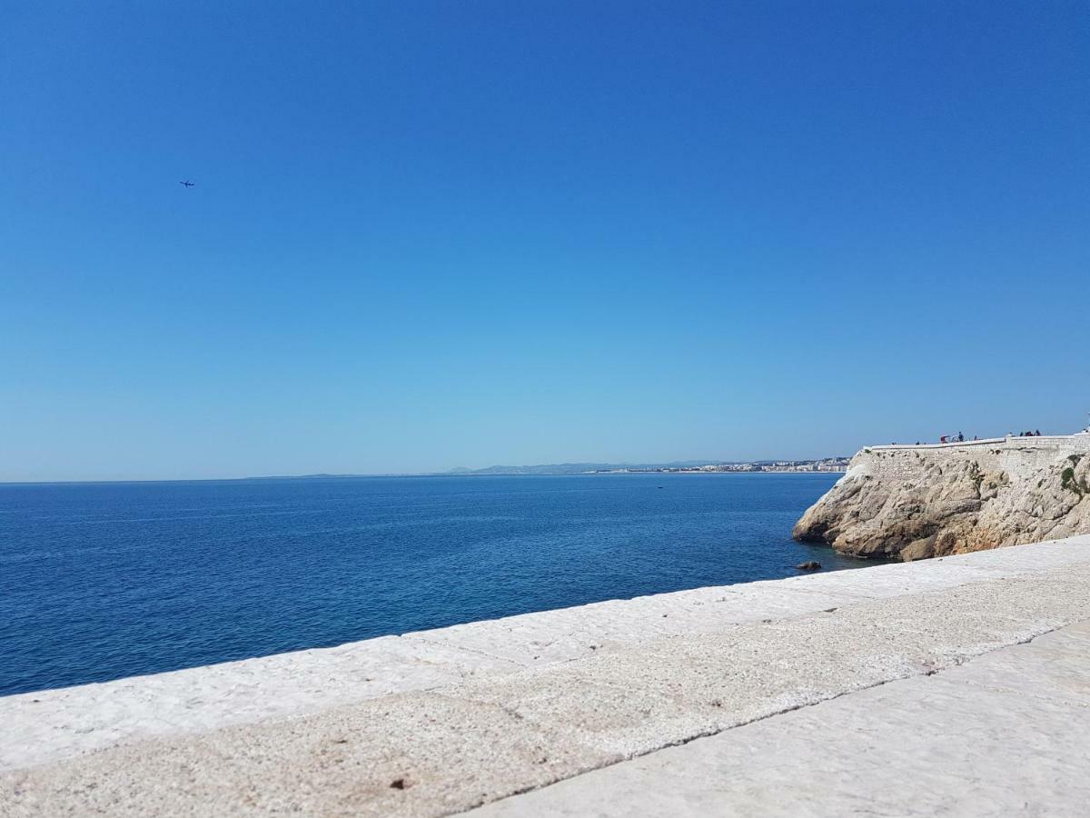 ניס Les Palmiers A 700M De La Mer מראה חיצוני תמונה