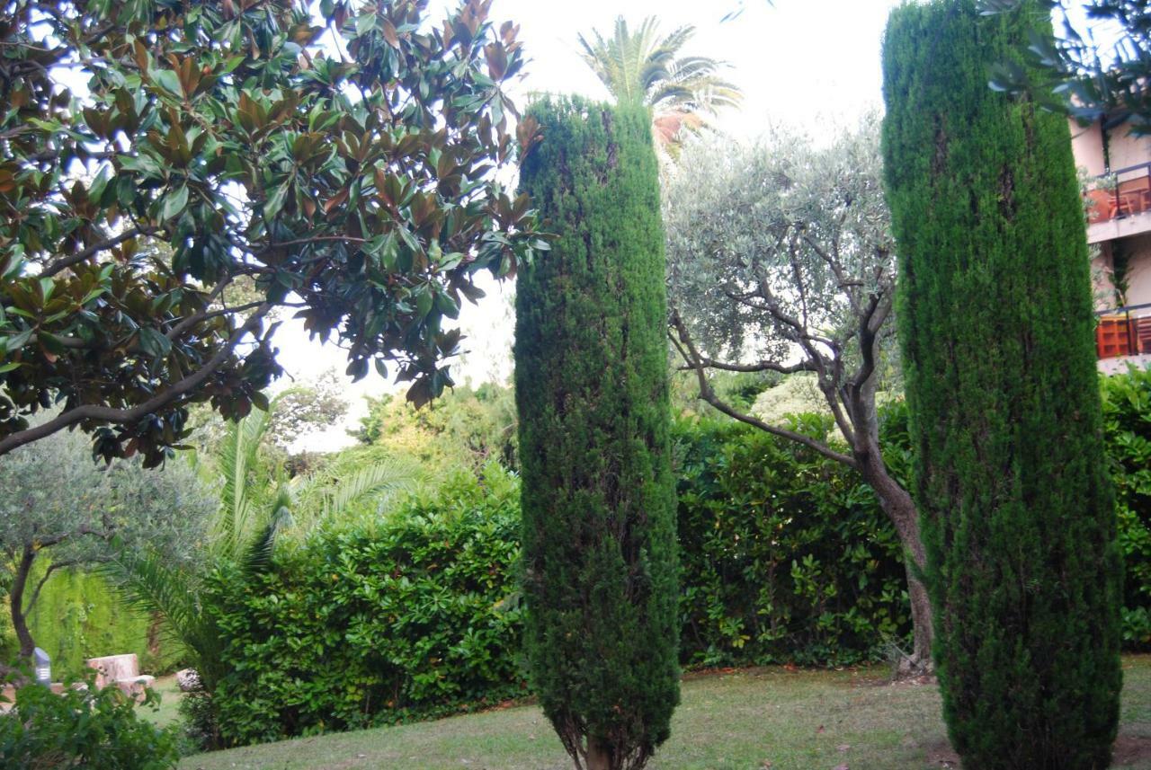 ניס Les Palmiers A 700M De La Mer מראה חיצוני תמונה